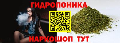стаф Новокубанск