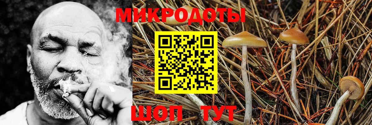 Урюпинск  Галлюциногенные грибы Magic Shrooms  хочу   Вход с VPN 