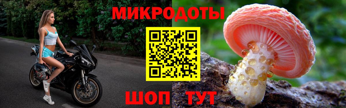 Галлюциногенные грибы Psilocybe Урюпинск